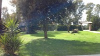 /album/foto-del-locale-delle-pietanze-dello-staff/giardino-jpg/